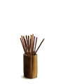 2011�Ⳳ�ڿ